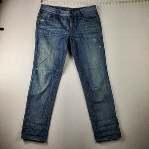 Ann Taylor Loft Boyfriend Sz 27